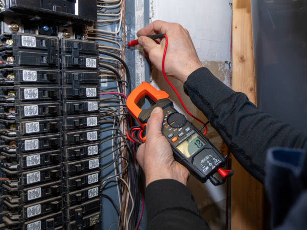 Best Electric Panel Repair  in Bergenfield, NJ
